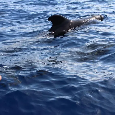 Vaso Rojo Vista Mar *