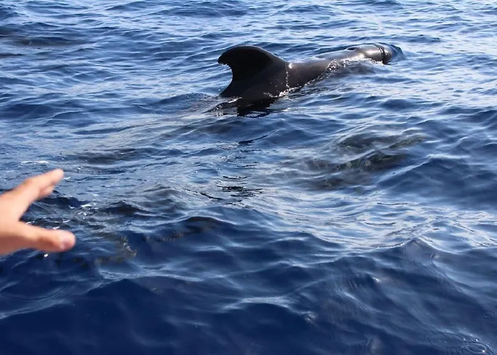 Vaso Rojo Vista Mar *